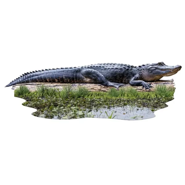 Puzzle 100 Pièces </br>I Am Lil' Alligator