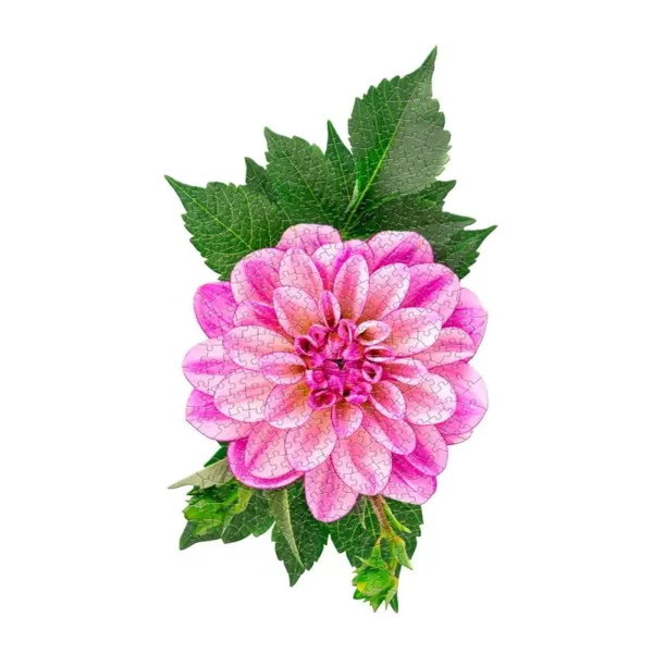 Puzzle 350 Pièces </br>I Am Dahlia